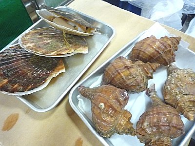P1010637