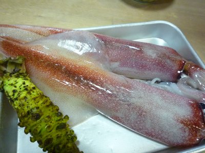 P1000493