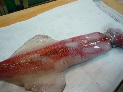 P1000467