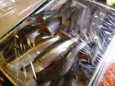 つぶ貝