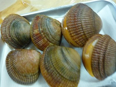 P1010913
