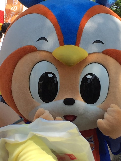 九州がまぶしくて : Jリーグマスコットのことばかり考えるブログ（旧館）