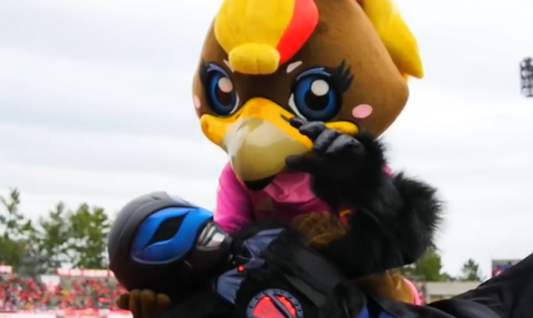 y19
