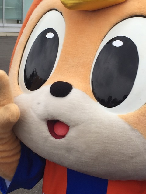 ヴィヴィくんのいる街（前編） : Jリーグマスコットのことばかり