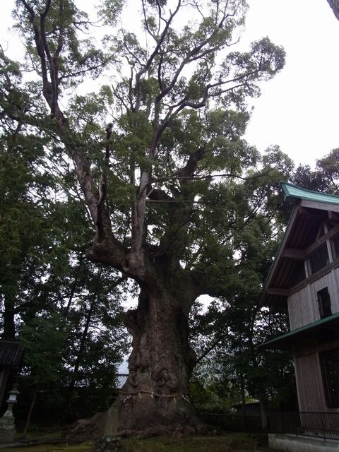 1_R0017782