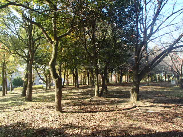 660914d1.jpg