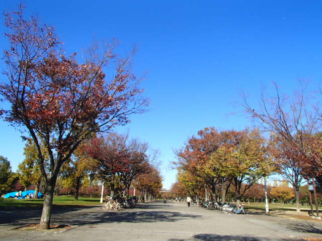 67c59a33.jpg