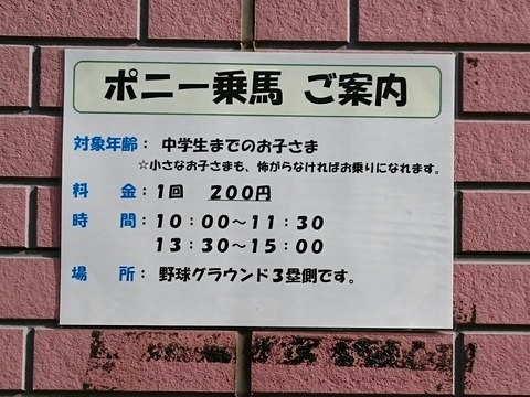 _20180127_151128