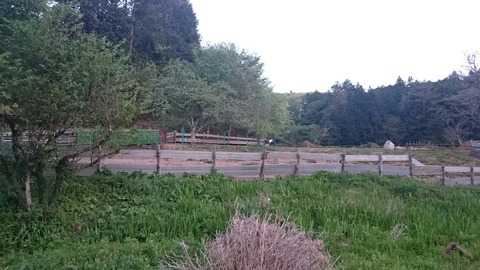 DSC_1834
