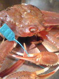 68aac701.jpg