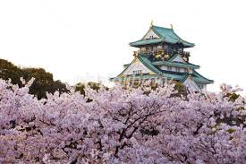 大阪城 桜