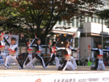 MSplash10.28