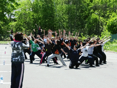 真花2012.5.27.1