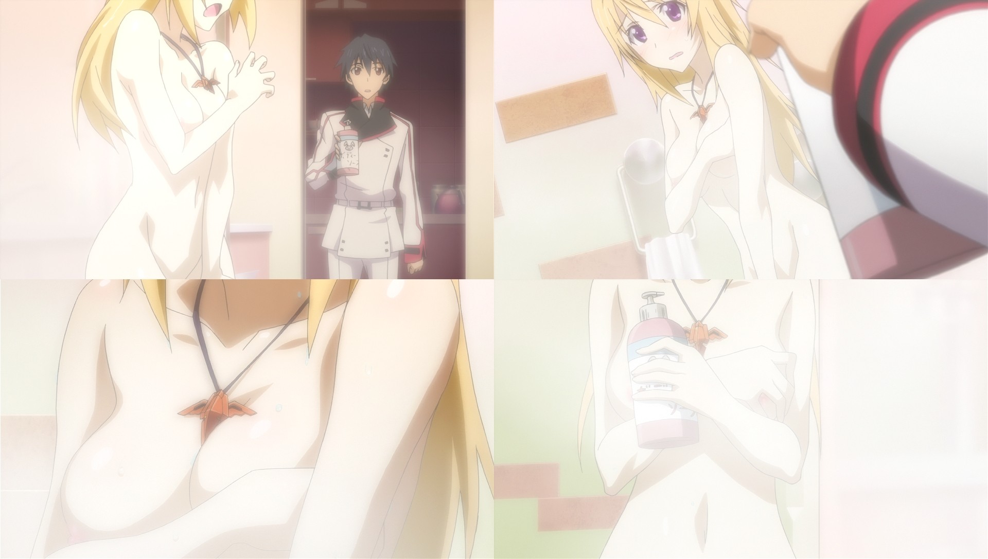 インフィニット ストラトス 乳首