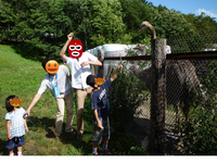 BlogPaint