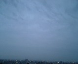 Jan21-07 6