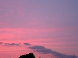 Jul15-08 12