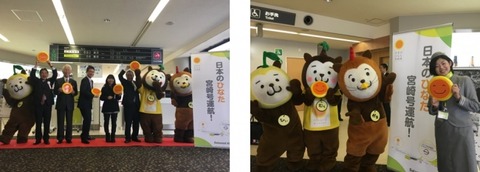 日本のひなたセレモニー