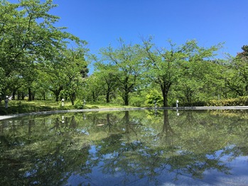 IMG_1313