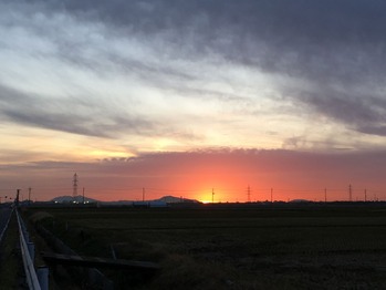 IMG_6126