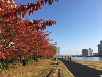 2016-11-05 015
