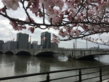 IMG_4069