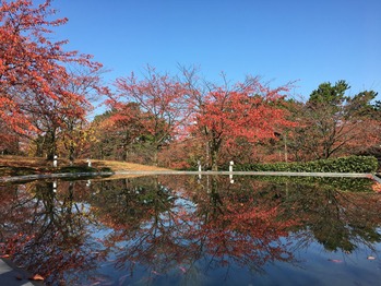 2016-11-05 022
