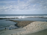 CIMG0009