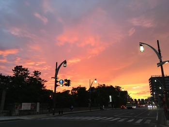 IMG_2761
