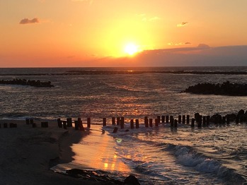 IMG_3912
