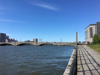 IMG_4542