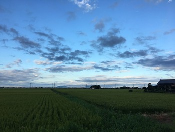 IMG_5313