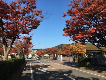 2016-11-05 025