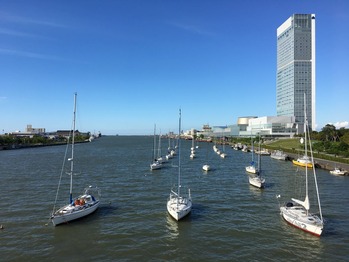 IMG_4544