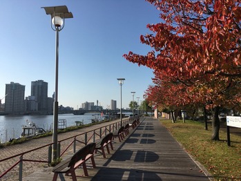 2016-11-05 001