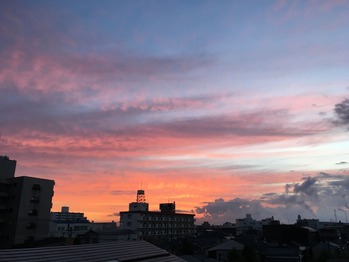 IMG_2745