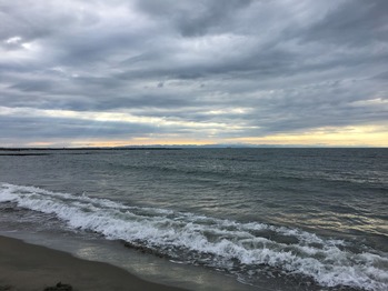 IMG_5301