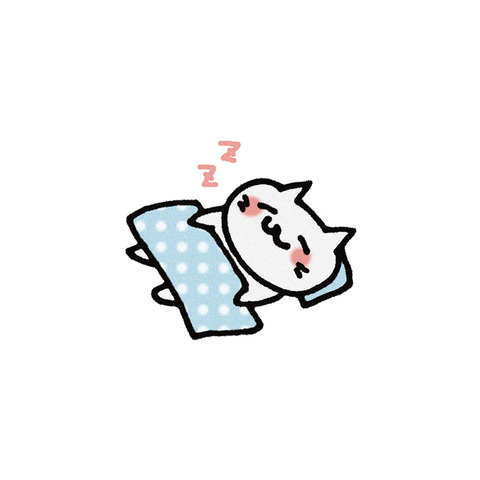 ネコ2