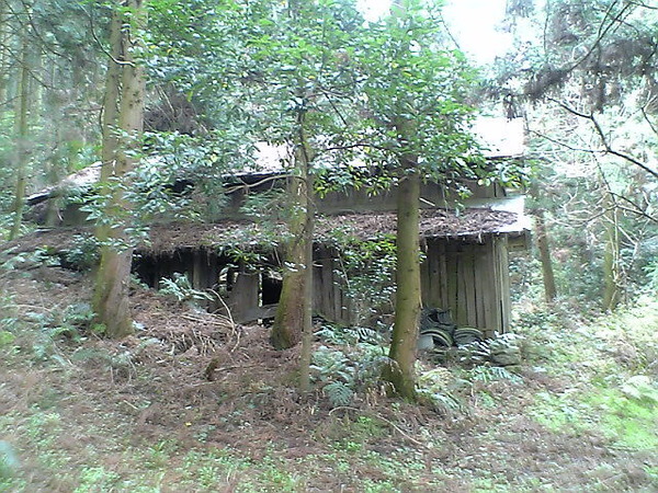 53d7177b.jpg