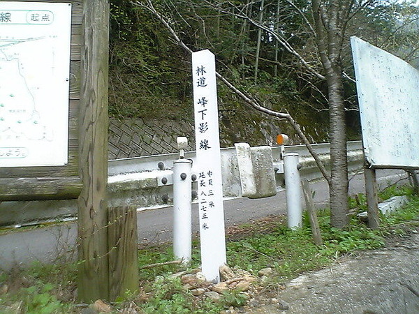 86721c80.jpg