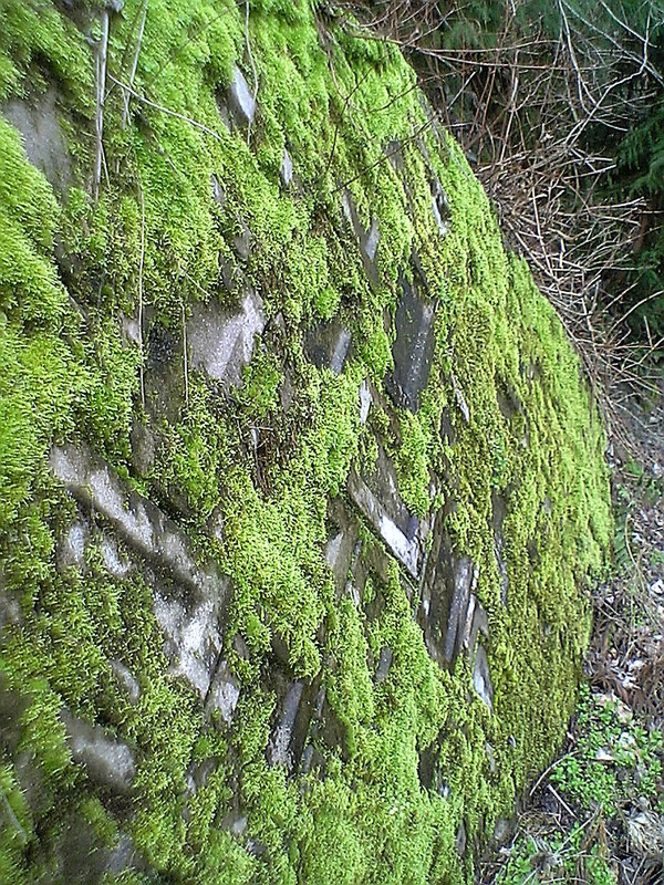 92c0091b.jpg