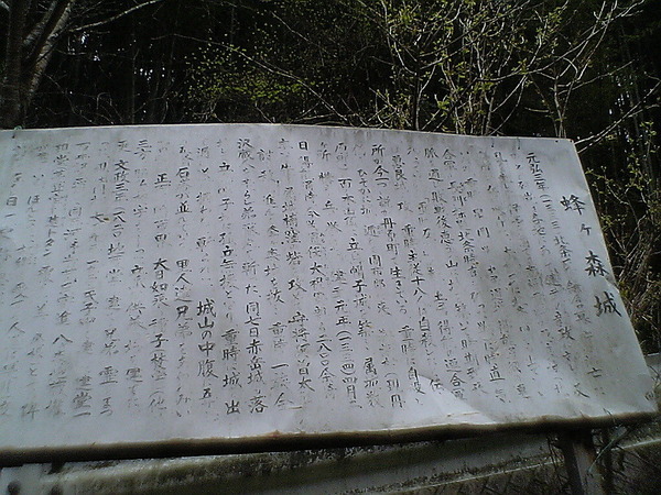 b69c0525.jpg