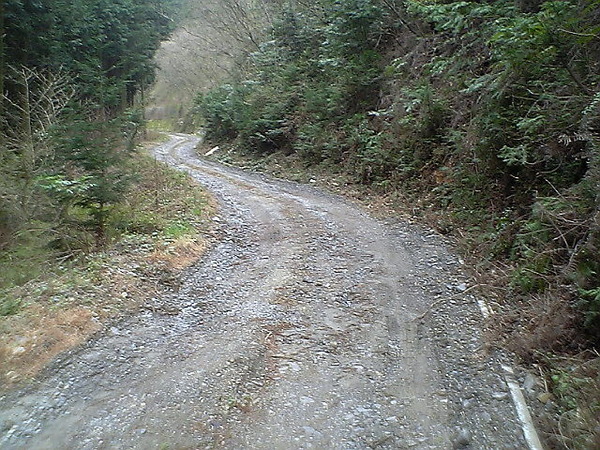 fc7d9982.jpg