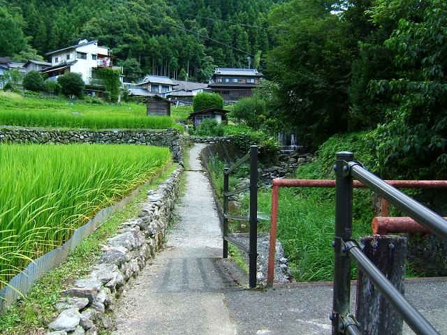 DSCF6649