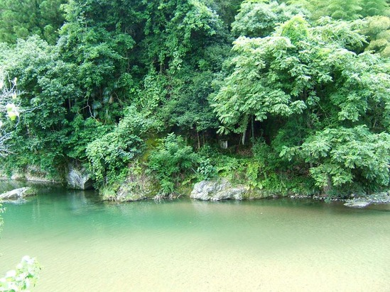 DSCF6646