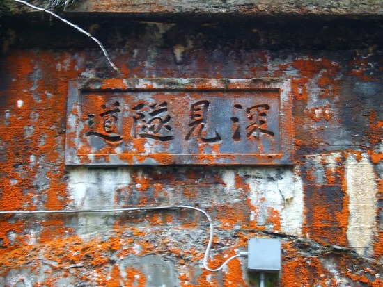 DSCF6607