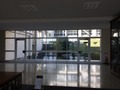 IMG_4621