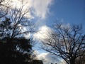 IMG_1078