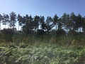 IMG_3902