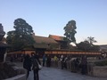 IMG_4465